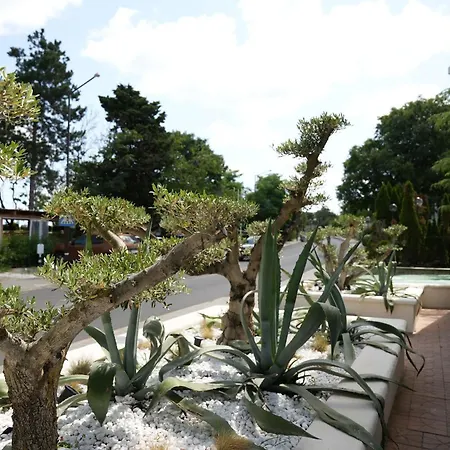Paradise Bay Отель 3*